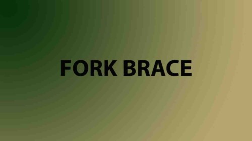 Fork Brace