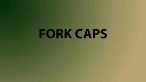 Fork Caps