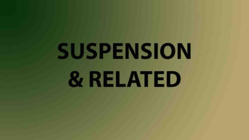 Suspension and Related